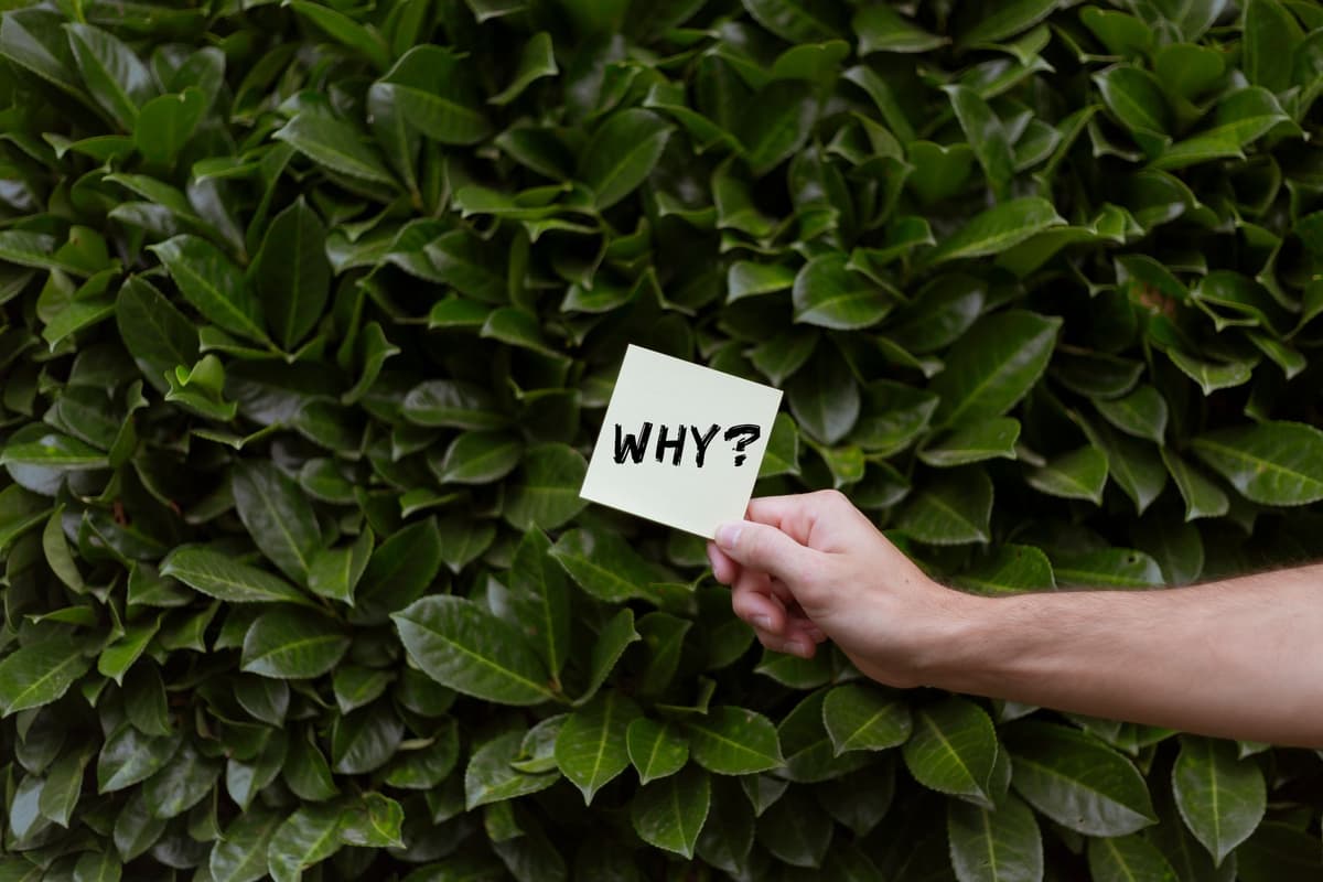 Am I Jealous or Am I Envious? Why the Difference Actually Matters