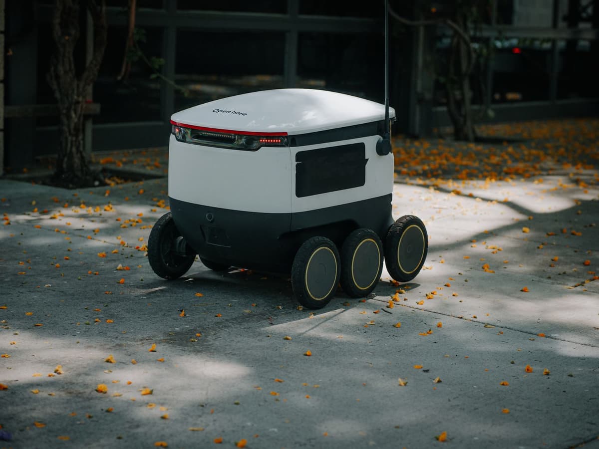 Expect Autonomy
