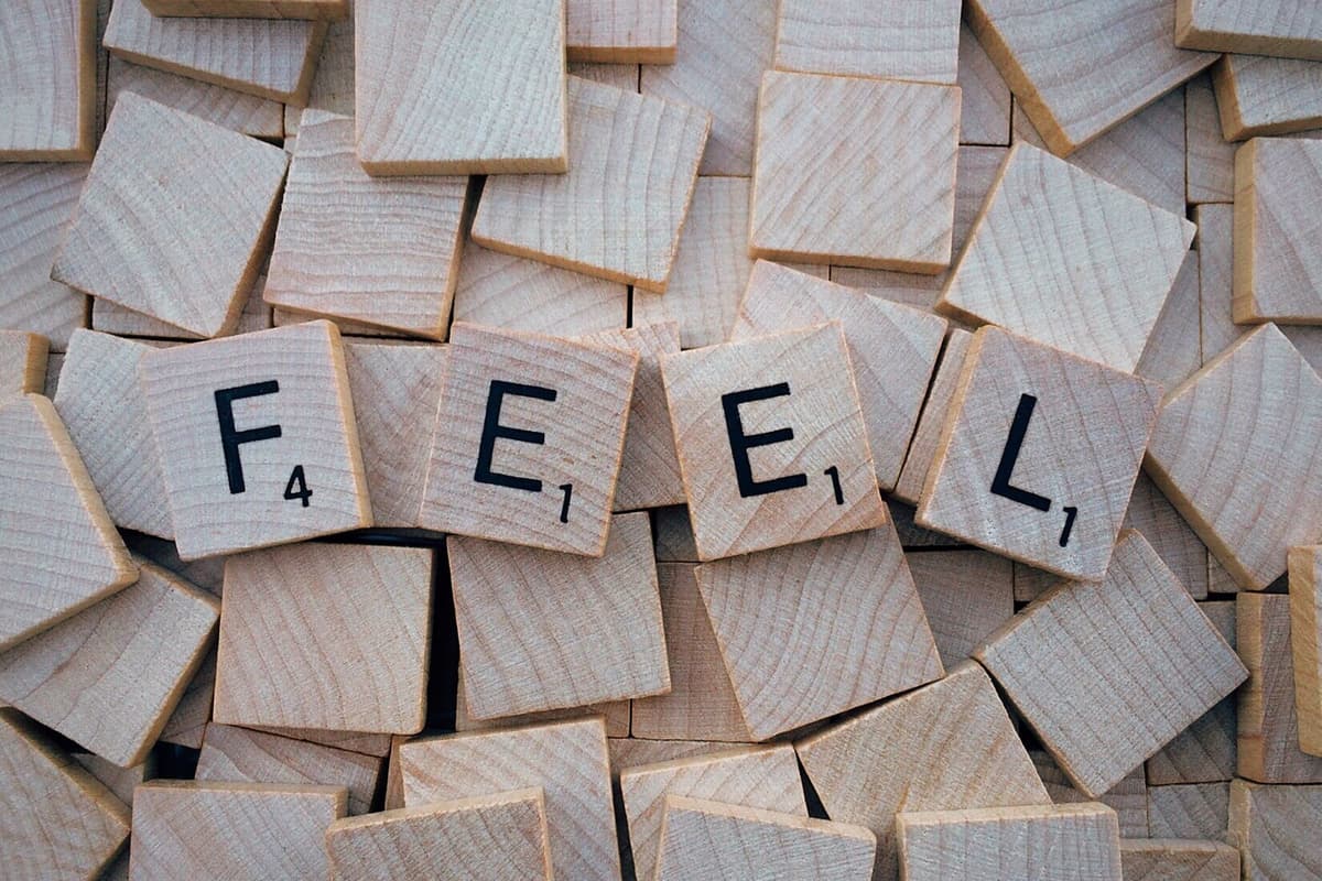 Feelings Are Not Facts