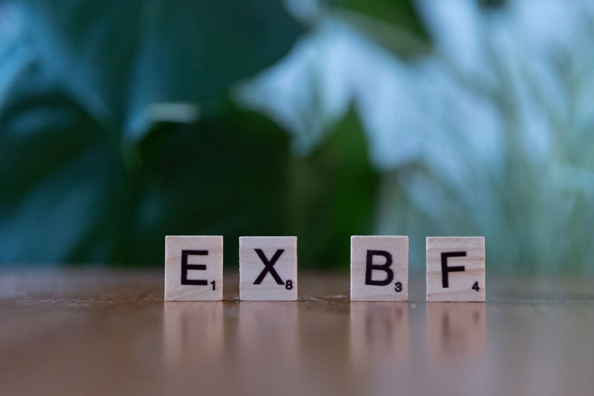 Friends With My Exes