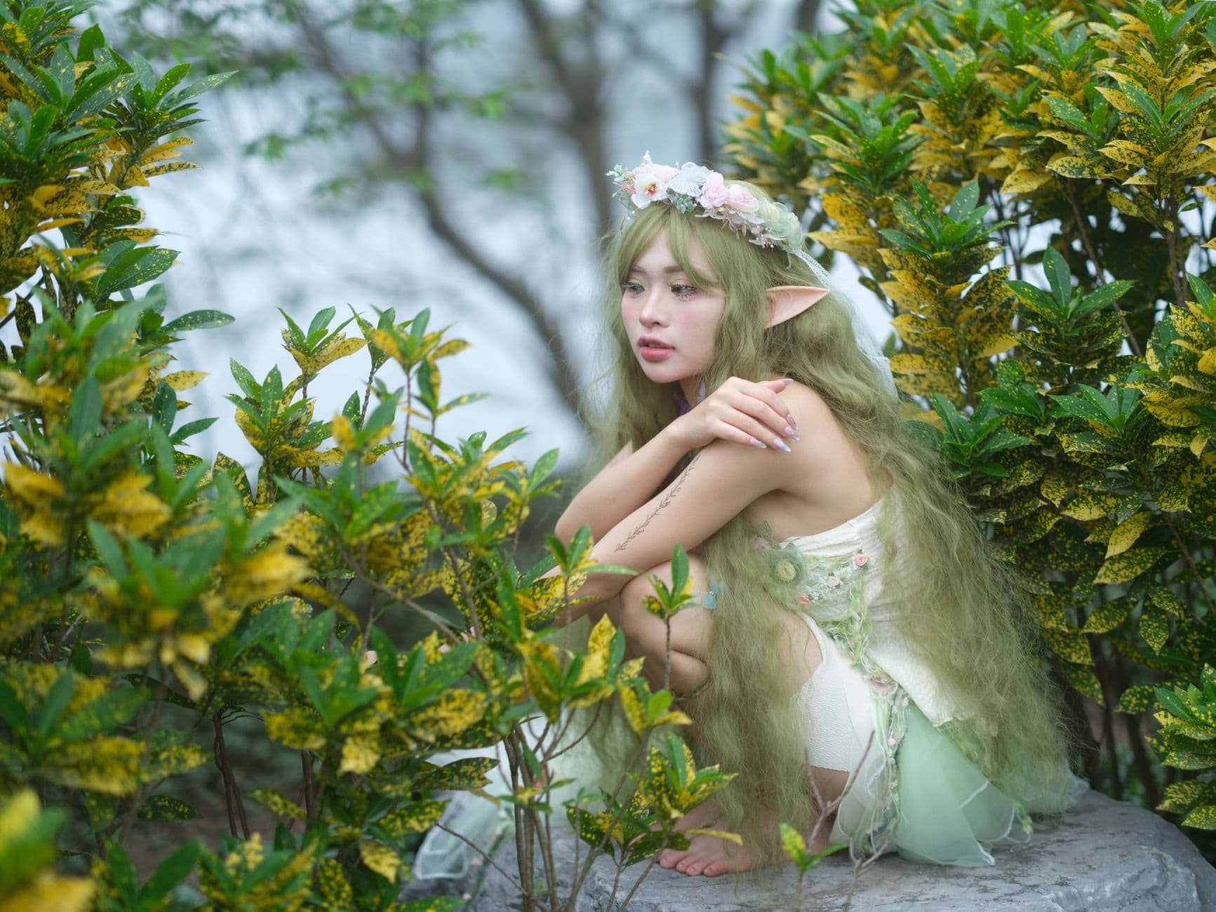 What Is a Nymph? The Mythology Behind the Nymph App